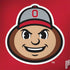 Ohio State University OSUBuckeyes Light Grey Dell Inspiron Skin